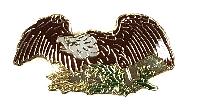 Lapel Pin US Army Crest #2 