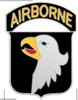 Lapel Pin Airborne eagle 